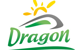 Logo pociągu Dragon