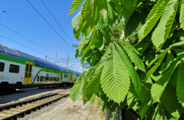 Liście na tle wagonu piętrowego KM